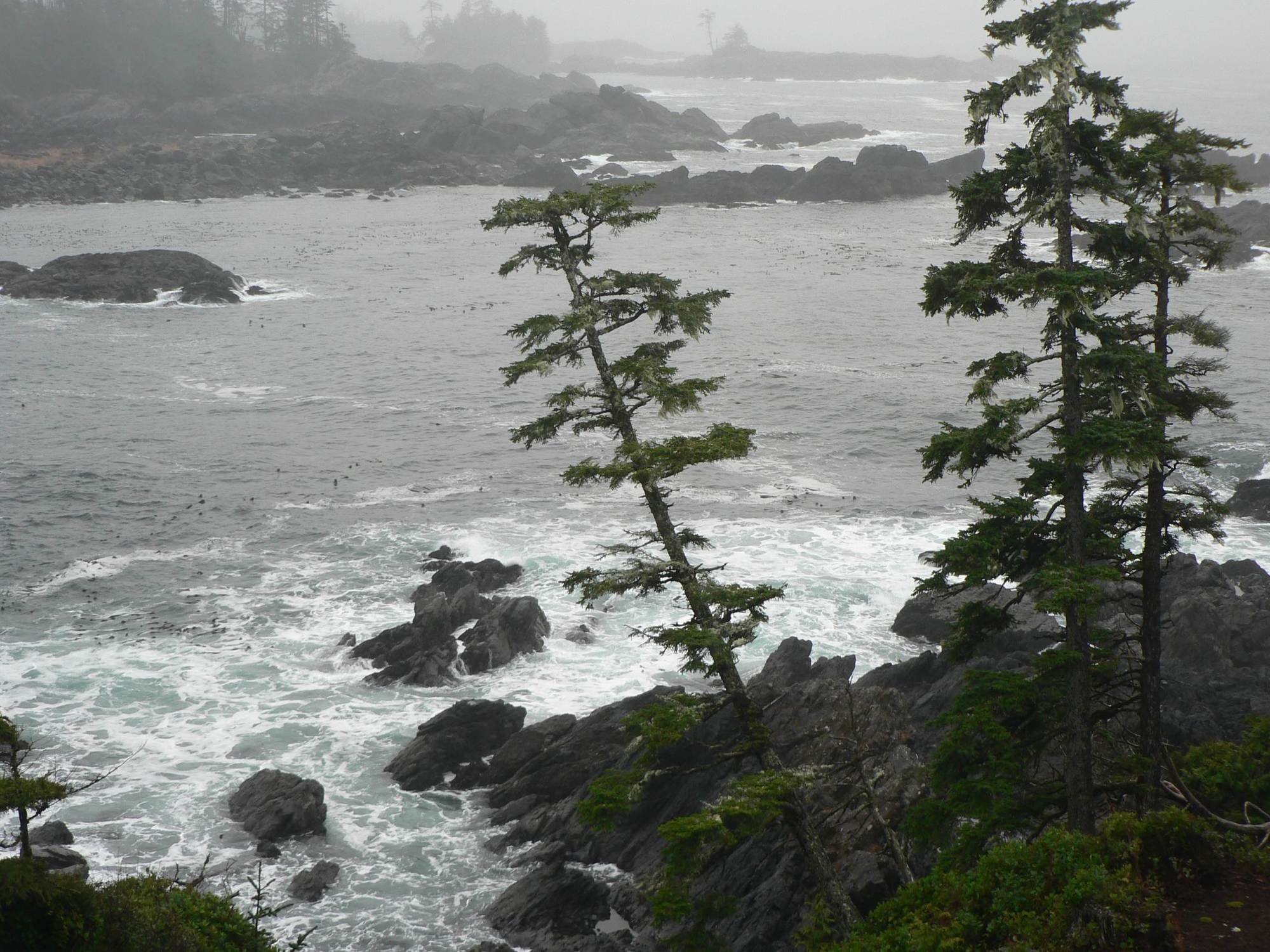 Black Rock Oceanfront Resort Ucluelet Esterno foto